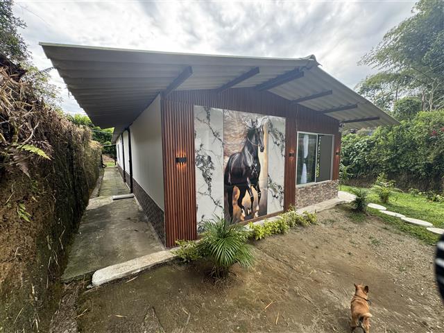 eco-hotel-gaia-1 - Alquiler de Fincas en el Quindio, Hoteles en el Eje Cafetero Modern single-story house with a large horse mural on the front wall, a metal roof overhang, and a small brown dog in the dirt yard.