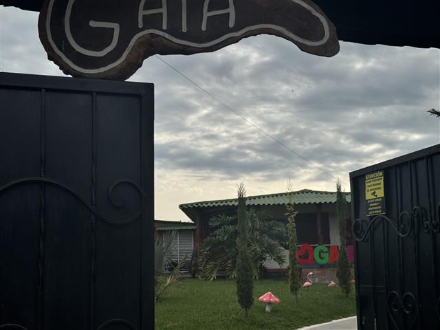 eco-hotel-gaia-10 - Alquiler de Fincas en el Quindio, Hoteles en el Eje Cafetero Open black wrought-iron gates leading into a grassy yard with small trees and a colorful 'GAIA' sign visible in the background.