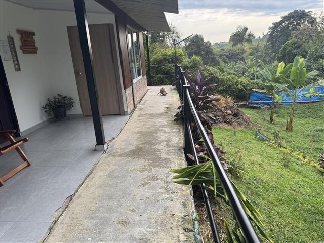 eco-hotel-gaia-5 - Alquiler de Fincas en el Quindio, Hoteles en el Eje Cafetero Concrete walkway along a single-story house with a railing on the right and a dog sitting near the far end, overlooking a garden with trees and banana plants.