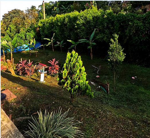 eco-hotel-gaia-9 - Alquiler de Fincas en el Quindio, Hoteles en el Eje Cafetero