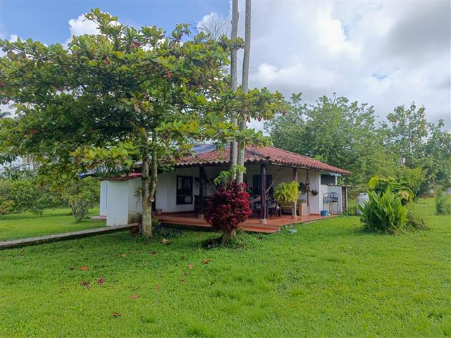 hotel-del-campo-4 - Alquiler de Fincas en el Quindio, Hoteles en el Eje Cafetero cabaña Hotel del Campo