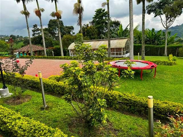 finca-del-cafe-(10) - Alquiler de Fincas en el Quindio, Hoteles en el Eje Cafetero