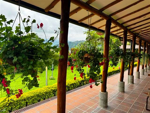 finca-del-cafe-(12) - Alquiler de Fincas en el Quindio, Hoteles en el Eje Cafetero