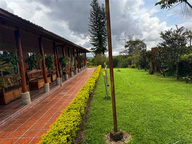 finca-del-cafe-(18) - Alquiler de Fincas en el Quindio, Hoteles en el Eje Cafetero