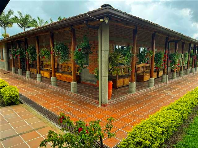 finca-del-cafe-(9) - Alquiler de Fincas en el Quindio, Hoteles en el Eje Cafetero