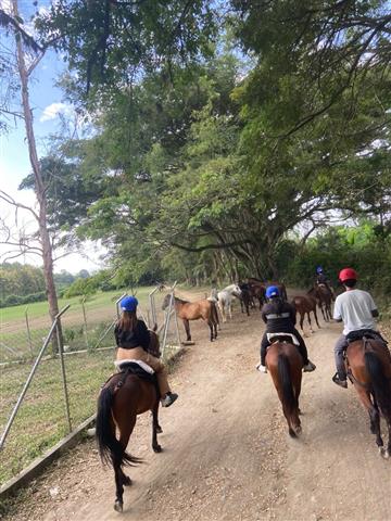 barragan-aventura-(9) - Alquiler de Fincas en el Quindio, Hoteles en el Eje Cafetero