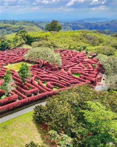 laberinto-mil-caminos-11 - Alquiler de Fincas en el Quindio, Hoteles en el Eje Cafetero