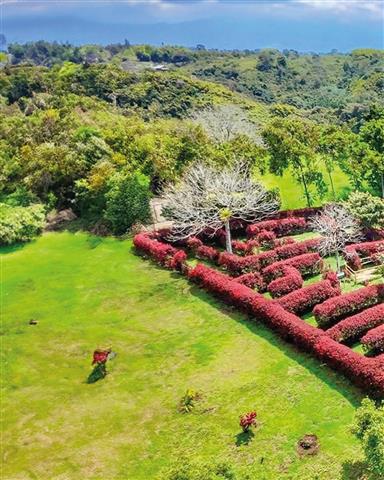 laberinto-mil-caminos-12 - Alquiler de Fincas en el Quindio, Hoteles en el Eje Cafetero