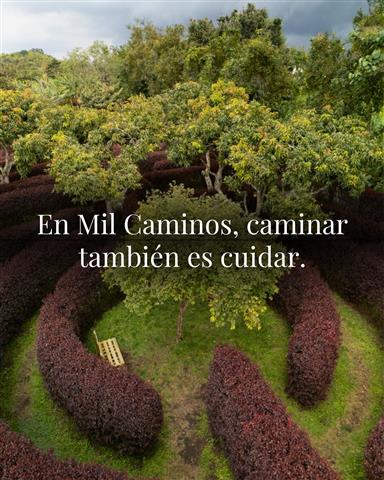 laberinto-mil-caminos-19 - Alquiler de Fincas en el Quindio, Hoteles en el Eje Cafetero