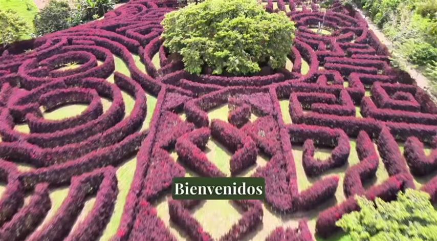 laberinto-mil-caminos-21 - Alquiler de Fincas en el Quindio, Hoteles en el Eje Cafetero