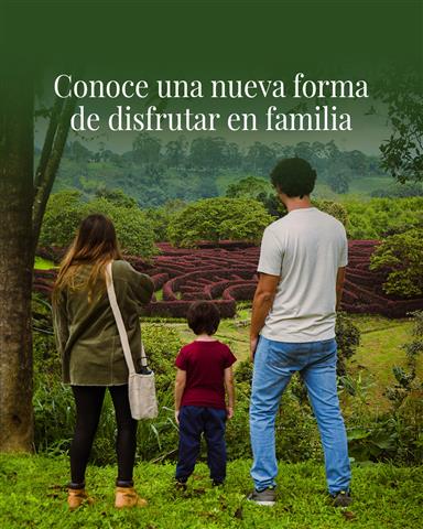 laberinto-mil-caminos-4 - Alquiler de Fincas en el Quindio, Hoteles en el Eje Cafetero