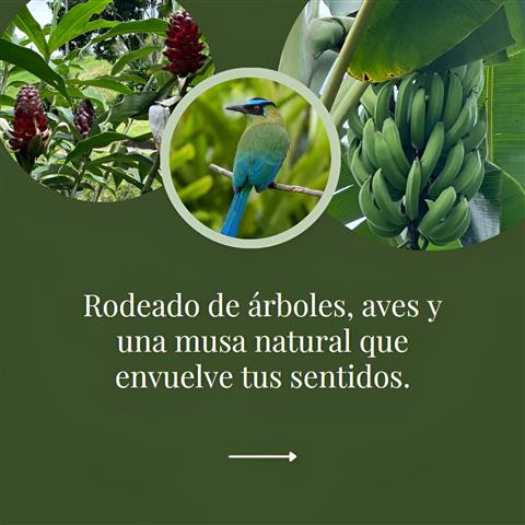 laberinto-mil-caminos-5 - Alquiler de Fincas en el Quindio, Hoteles en el Eje Cafetero