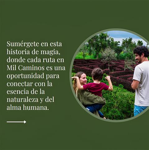 laberinto-mil-caminos-7 - Alquiler de Fincas en el Quindio, Hoteles en el Eje Cafetero