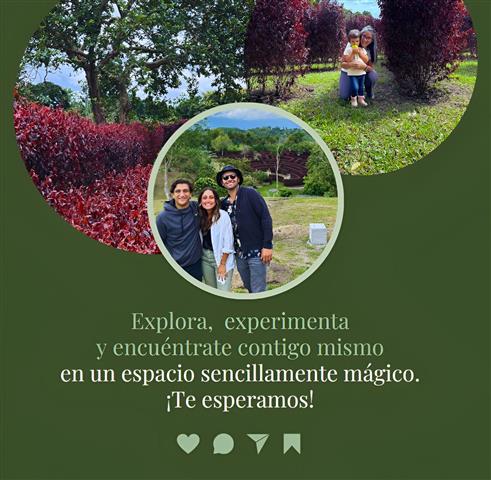 laberinto-mil-caminos-8 - Alquiler de Fincas en el Quindio, Hoteles en el Eje Cafetero