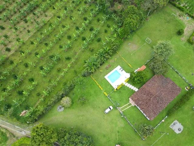 finca-hotel-el-arrullo-24 - Alquiler de Fincas en el Quindio, Hoteles en el Eje Cafetero