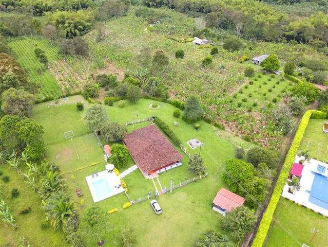 finca-hotel-el-arrullo-8 - Alquiler de Fincas en el Quindio, Hoteles en el Eje Cafetero