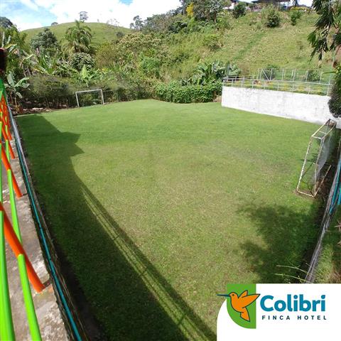 finca-hotel-colibri-4 - Alquiler de Fincas en el Quindio, Hoteles en el Eje Cafetero