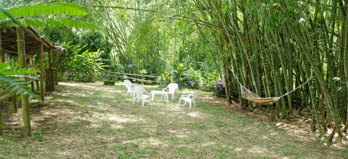 finca-bella-villa- (14) - Alquiler de Fincas en el Quindio, Hoteles en el Eje Cafetero