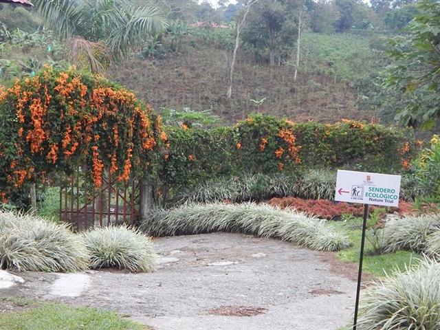 finca-hotel-la-rivera-16 - Alquiler de Fincas en el Quindio, Hoteles en el Eje Cafetero
