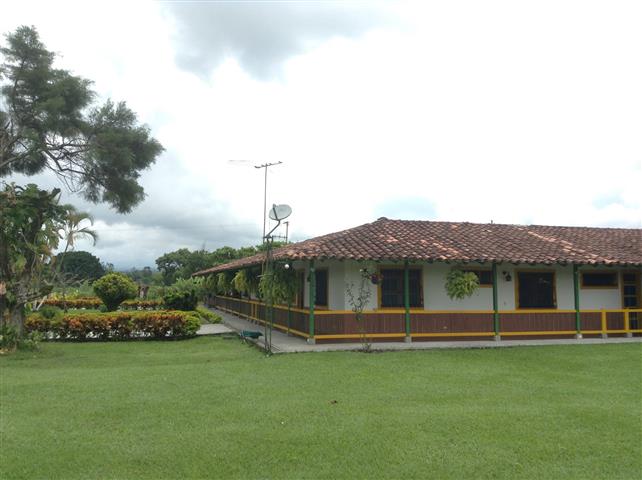 finca-hotel-la-betulia-1 - Alquiler de Fincas en el Quindio, Hoteles en el Eje Cafetero