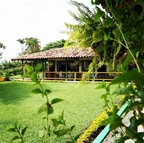 finca-hotel-la-betulia-15 - Alquiler de Fincas en el Quindio, Hoteles en el Eje Cafetero