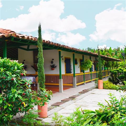 finca-hotel-la-betulia-17 - Alquiler de Fincas en el Quindio, Hoteles en el Eje Cafetero