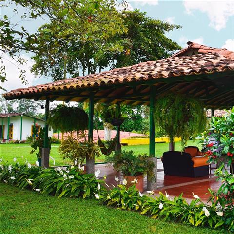 finca-hotel-la-betulia-18 - Alquiler de Fincas en el Quindio, Hoteles en el Eje Cafetero