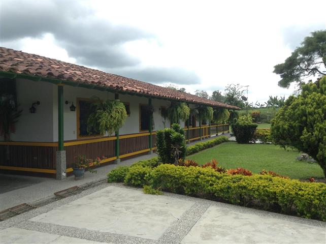 finca-hotel-la-betulia-2 - Alquiler de Fincas en el Quindio, Hoteles en el Eje Cafetero