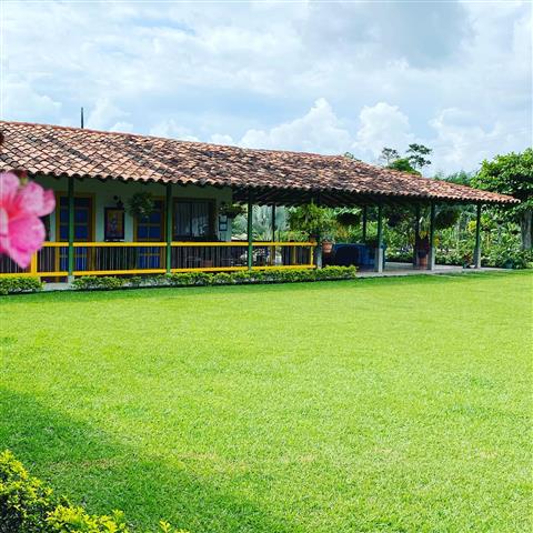finca-hotel-la-betulia-22 - Alquiler de Fincas en el Quindio, Hoteles en el Eje Cafetero