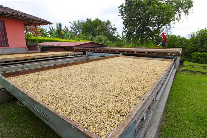 Finca-la-pradera-2-17 - Alquiler de Fincas en el Quindio, Hoteles en el Eje Cafetero