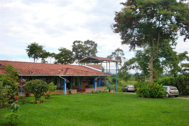 villa-angelica-10 - Alquiler de Fincas en el Quindio, Hoteles en el Eje Cafetero