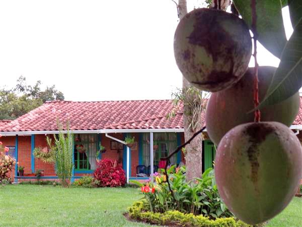 villa-angelica-15 - Alquiler de Fincas en el Quindio, Hoteles en el Eje Cafetero