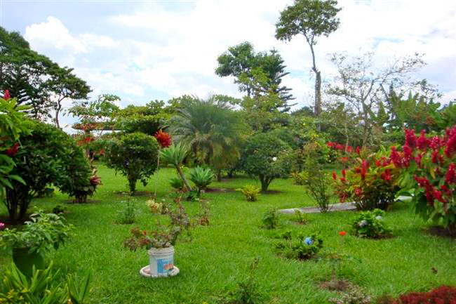 villa-angelica-5 - Alquiler de Fincas en el Quindio, Hoteles en el Eje Cafetero