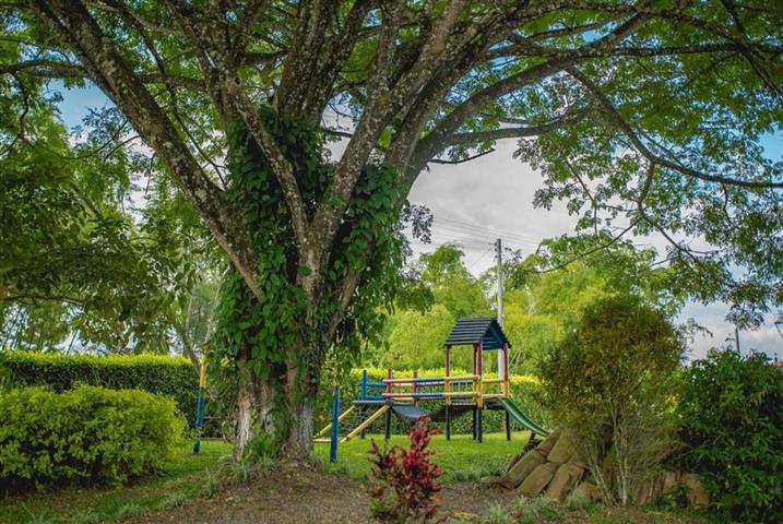 hotel-tacurrumbi-6 - Alquiler de Fincas en el Quindio, Hoteles en el Eje Cafetero